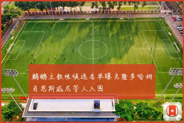 鹈鹕主教练候选名单曝光隆多哈姆肖恩斯威尼等人入围